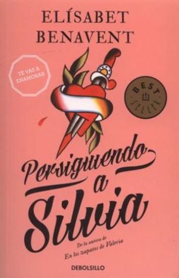 Persiguiendo A Silvia (Debolsillo)