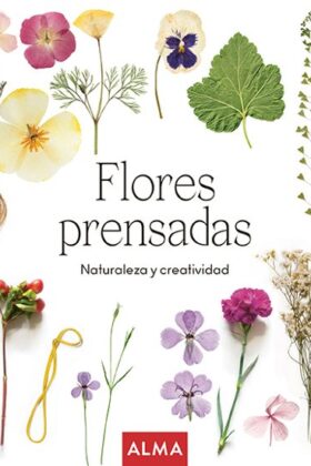 LMAN: Mandalas En Piedras